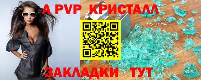 крисы Донской