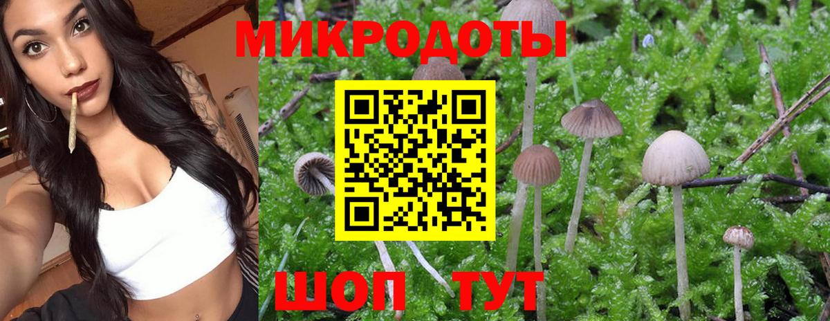 Псилоцибиновые грибы Cubensis  цены наркотик  Джанкой  Вход с VPN 